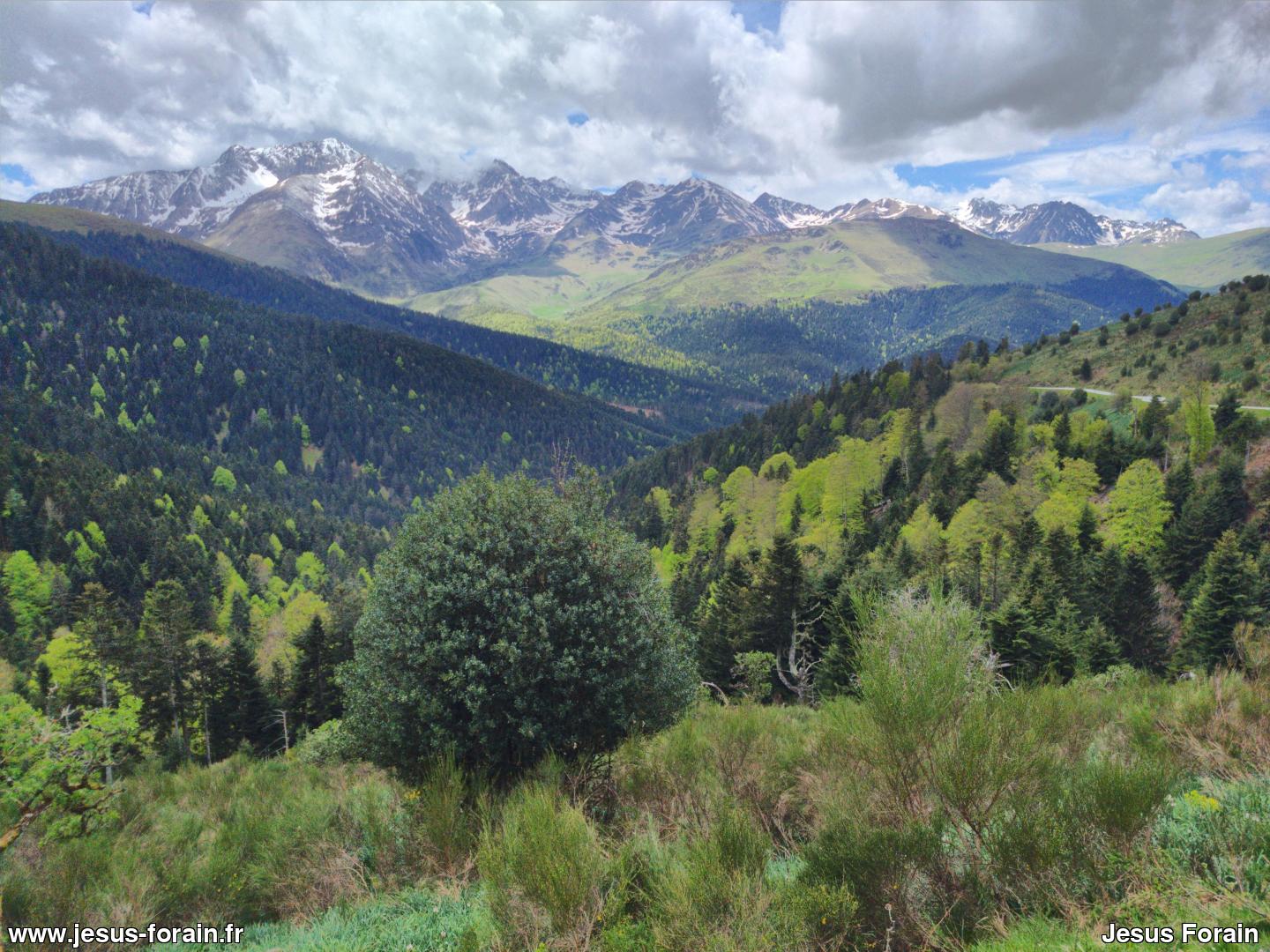 Col d'Aspin dans les Pyrénées