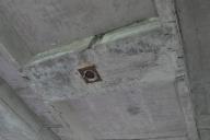 rail%20d%27Orl%C3%A9ans_064.jpg