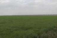 rail%20d%27Orl%C3%A9ans_070.jpg