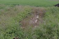 rail%20d%27Orl%C3%A9ans_074.jpg