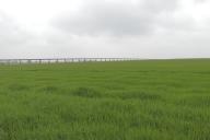 rail%20d%27Orl%C3%A9ans_082.jpg