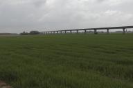 rail%20d%27Orl%C3%A9ans_091.jpg
