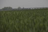rail%20d%27Orl%C3%A9ans_097.jpg