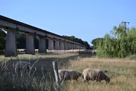 A%C3%A9rotrain_106.avif
